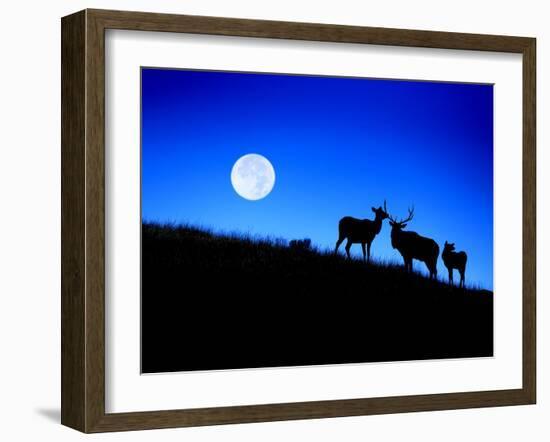 Full Moon, Super Moon, Yellowstone National Park, Wyoming-Maresa Pryor-Framed Photographic Print