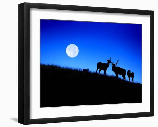 Full Moon, Super Moon, Yellowstone National Park, Wyoming-Maresa Pryor-Framed Photographic Print