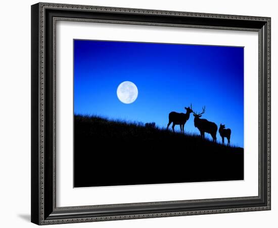 Full Moon, Super Moon, Yellowstone National Park, Wyoming-Maresa Pryor-Framed Photographic Print