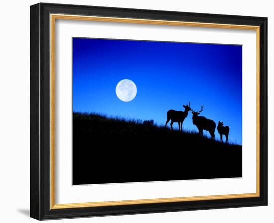 Full Moon, Super Moon, Yellowstone National Park, Wyoming-Maresa Pryor-Framed Photographic Print