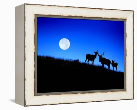 Full Moon, Super Moon, Yellowstone National Park, Wyoming-Maresa Pryor-Framed Premier Image Canvas