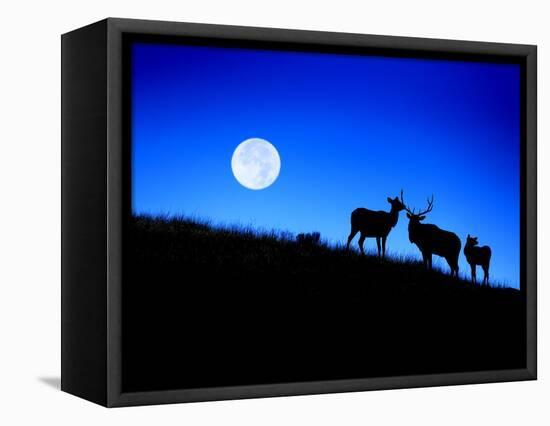 Full Moon, Super Moon, Yellowstone National Park, Wyoming-Maresa Pryor-Framed Premier Image Canvas