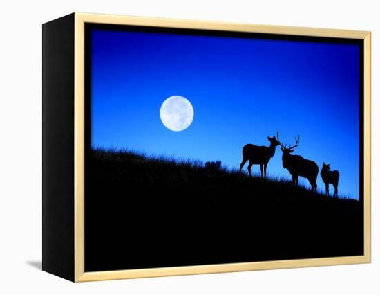 Full Moon, Super Moon, Yellowstone National Park, Wyoming-Maresa Pryor-Framed Premier Image Canvas