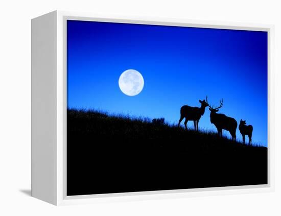 Full Moon, Super Moon, Yellowstone National Park, Wyoming-Maresa Pryor-Framed Premier Image Canvas