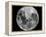 Full Moon-Stocktrek Images-Framed Premier Image Canvas