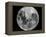 Full Moon-Stocktrek Images-Framed Premier Image Canvas