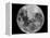 Full Moon-Stocktrek Images-Framed Premier Image Canvas