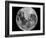 Full Moon-Stocktrek Images-Framed Photographic Print