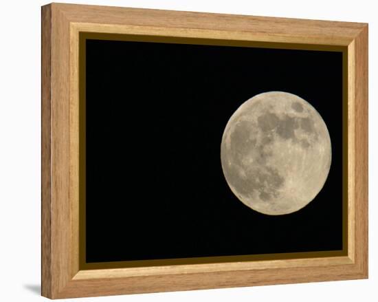 Full Moon-Arthur Morris-Framed Premier Image Canvas