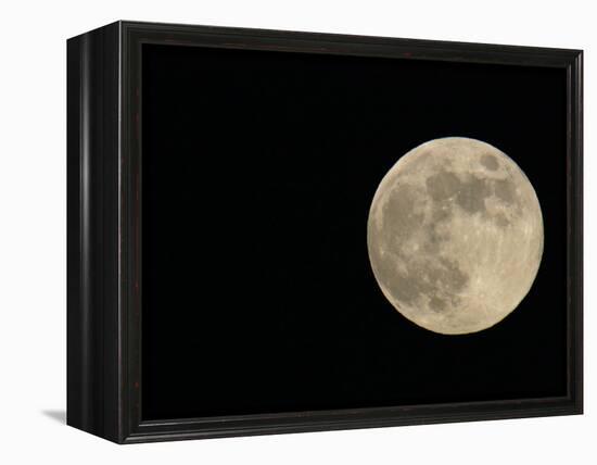Full Moon-Arthur Morris-Framed Premier Image Canvas