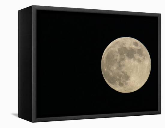 Full Moon-Arthur Morris-Framed Premier Image Canvas