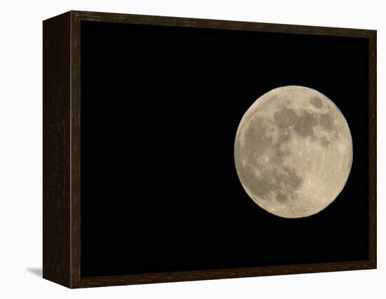 Full Moon-Arthur Morris-Framed Premier Image Canvas