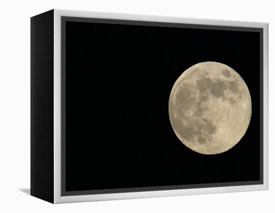 Full Moon-Arthur Morris-Framed Premier Image Canvas