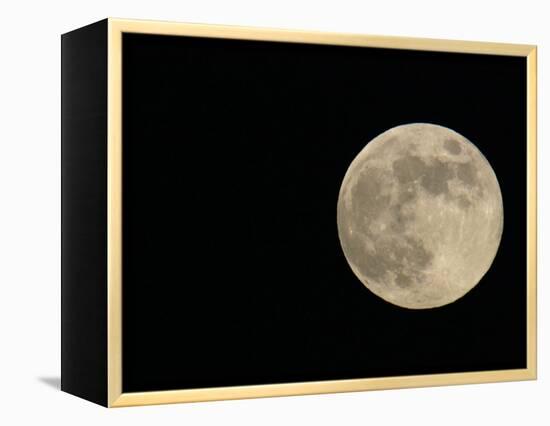 Full Moon-Arthur Morris-Framed Premier Image Canvas