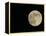 Full Moon-Arthur Morris-Framed Premier Image Canvas