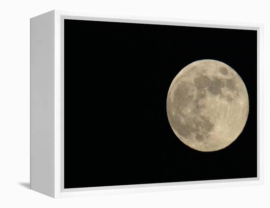 Full Moon-Arthur Morris-Framed Premier Image Canvas