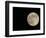 Full Moon-Arthur Morris-Framed Photographic Print