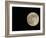 Full Moon-Arthur Morris-Framed Photographic Print