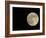 Full Moon-Arthur Morris-Framed Photographic Print