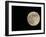 Full Moon-Arthur Morris-Framed Photographic Print