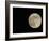 Full Moon-Arthur Morris-Framed Photographic Print