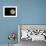 Full Moon-Arthur Morris-Framed Photographic Print displayed on a wall