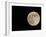 Full Moon-Arthur Morris-Framed Photographic Print