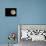 Full Moon-Arthur Morris-Mounted Photographic Print displayed on a wall