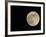 Full Moon-Arthur Morris-Framed Photographic Print