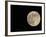 Full Moon-Arthur Morris-Framed Photographic Print