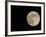 Full Moon-Arthur Morris-Framed Photographic Print