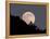 Full Moon-null-Framed Premier Image Canvas