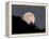 Full Moon-null-Framed Premier Image Canvas