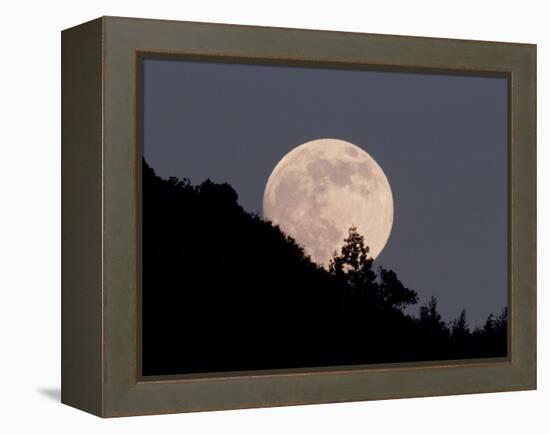 Full Moon-null-Framed Premier Image Canvas