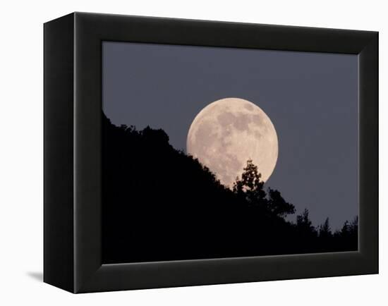 Full Moon-null-Framed Premier Image Canvas