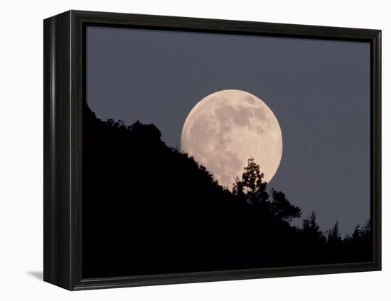 Full Moon-null-Framed Premier Image Canvas