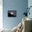 Full Moon-null-Framed Premier Image Canvas displayed on a wall