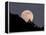 Full Moon-null-Framed Premier Image Canvas