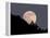 Full Moon-null-Framed Premier Image Canvas