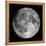 Full Moon-Stocktrek Images-Framed Premier Image Canvas