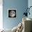 Full Moon-Stocktrek Images-Framed Premier Image Canvas displayed on a wall