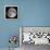Full Moon-Stocktrek Images-Framed Premier Image Canvas displayed on a wall