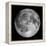 Full Moon-Stocktrek Images-Framed Premier Image Canvas