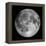 Full Moon-Stocktrek Images-Framed Premier Image Canvas