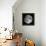 Full Moon-Stocktrek Images-Framed Premier Image Canvas displayed on a wall