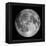 Full Moon-Stocktrek Images-Framed Premier Image Canvas