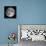 Full Moon-Stocktrek Images-Framed Premier Image Canvas displayed on a wall