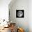 Full Moon-Stocktrek Images-Framed Premier Image Canvas displayed on a wall