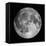 Full Moon-Stocktrek Images-Framed Premier Image Canvas