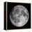 Full Moon-Stocktrek Images-Framed Premier Image Canvas